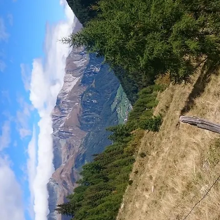 Santner Alpine Tauern Living * Virgen